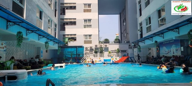 Hồ bơi Ruby mở cửa từ 7:00 sáng đến 19:30